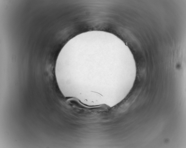 X0000103131010200809191936