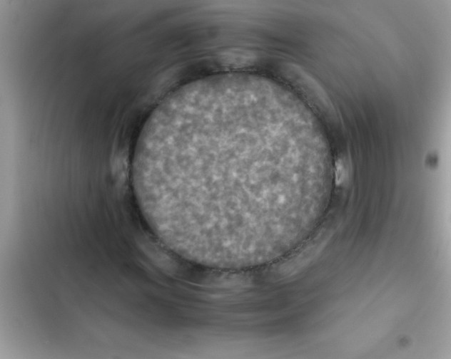 X0000103131011200809191936