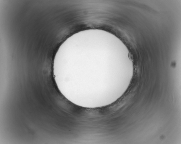 X0000103131012200809191936