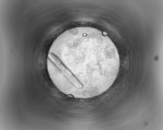 X0000103131014200809191936
