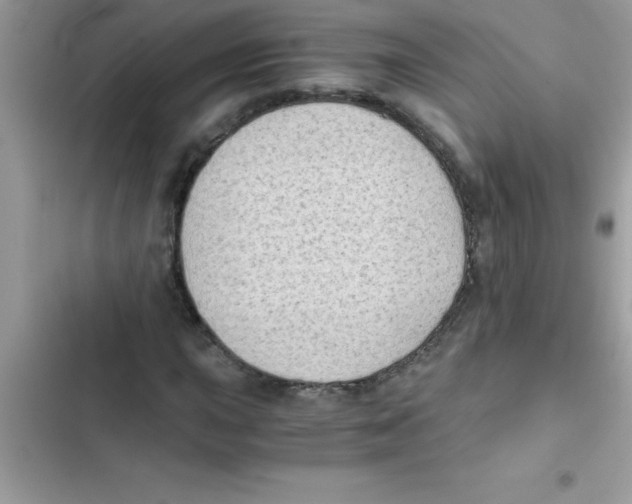 X0000103131015200809191936