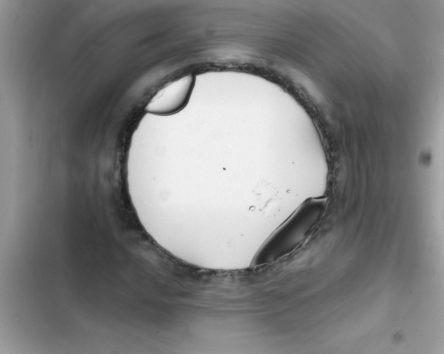 X0000103131016200809191936