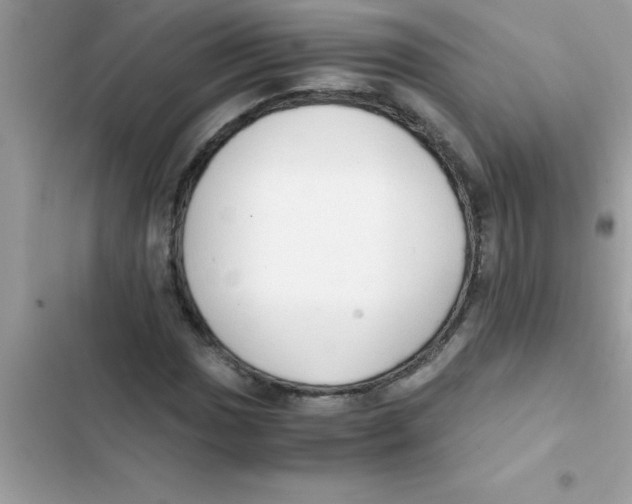 X0000103131017200809191936