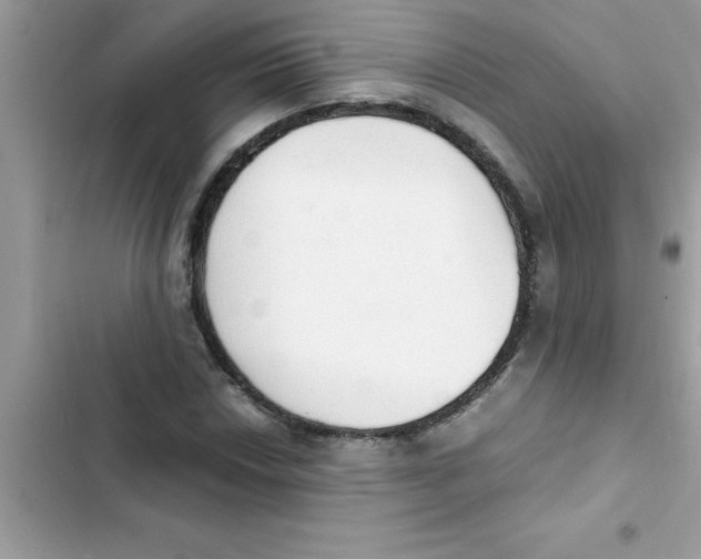 X0000103131018200809191936