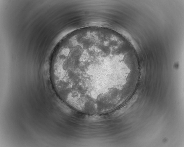 X0000103131019200809191936