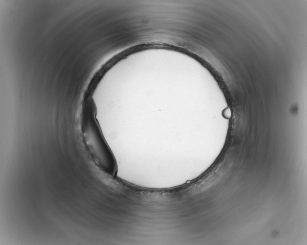 X0000103131020200809191936