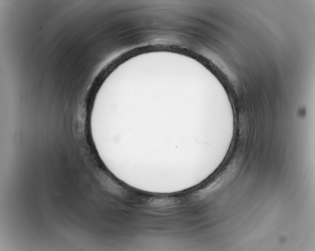 X0000103131021200809191936