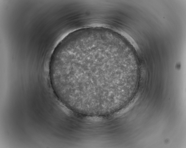 X0000103131023200809191936