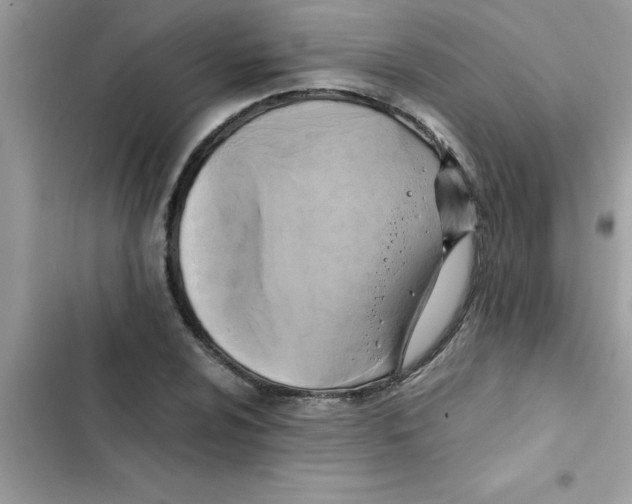 X0000103131024200809191936