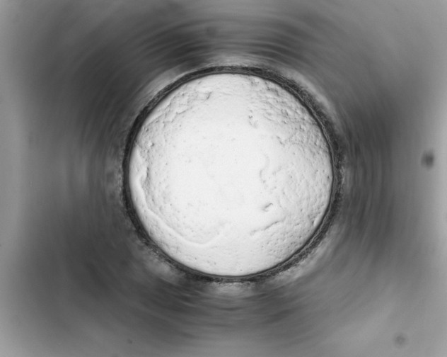 X0000103131025200809191936