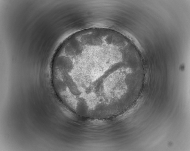 X0000103131027200809191936