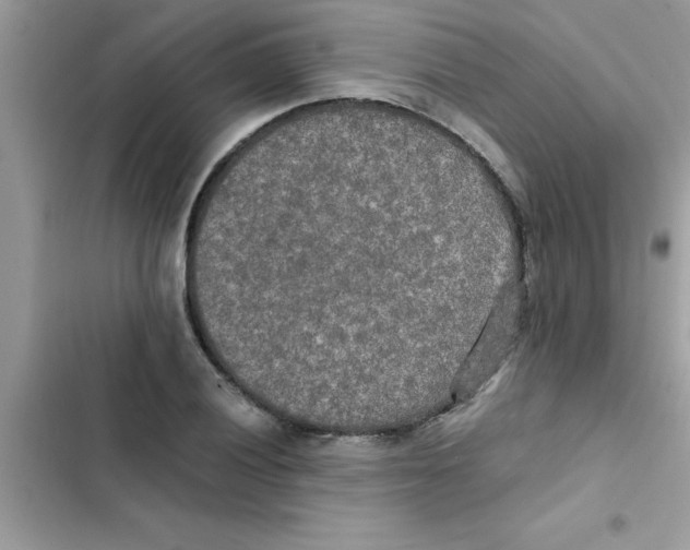 X0000103131028200809191936