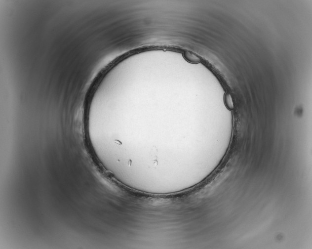 X0000103131030200809191936