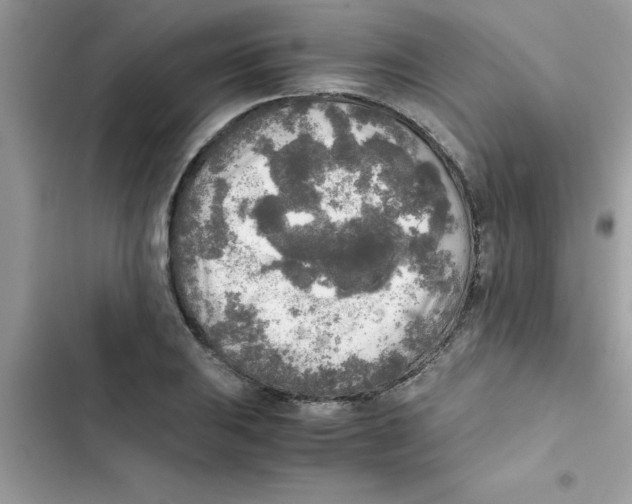 X0000103131031200809191936
