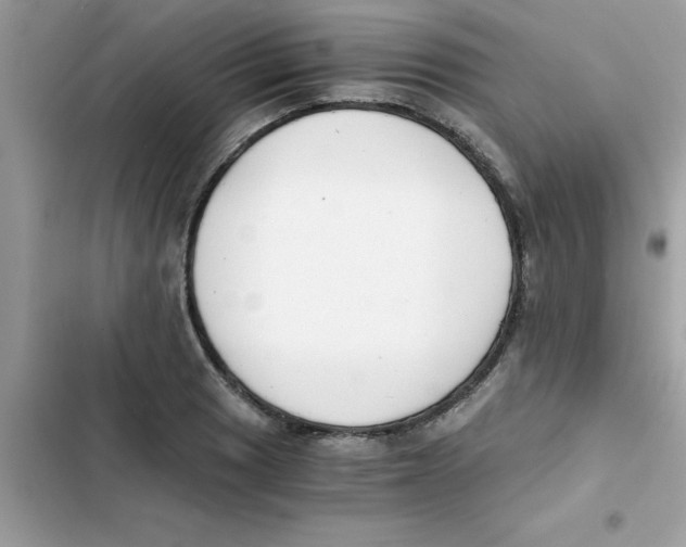 X0000103131033200809191936