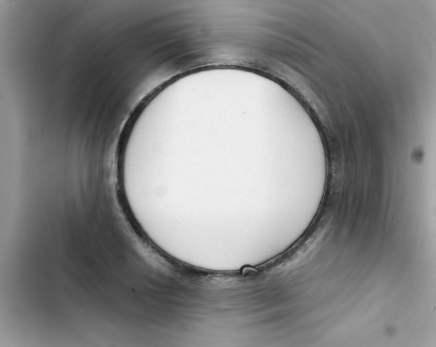 X0000103131034200809191936