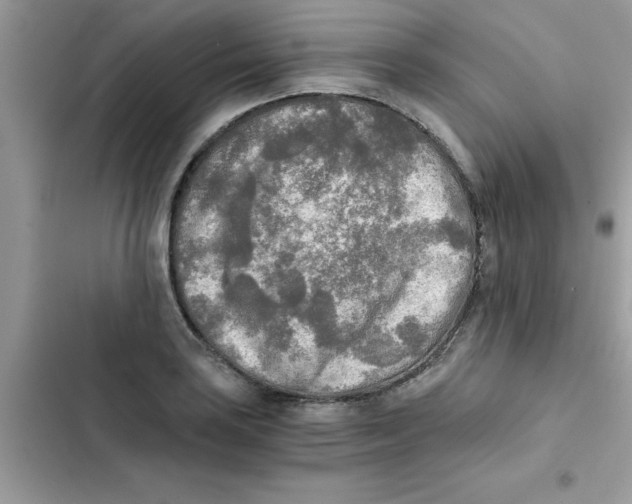 X0000103131035200809191936