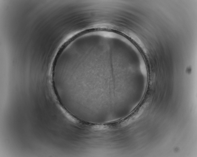 X0000103131037200809191936