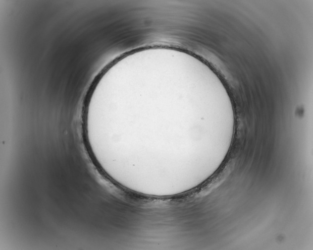 X0000103131038200809191936