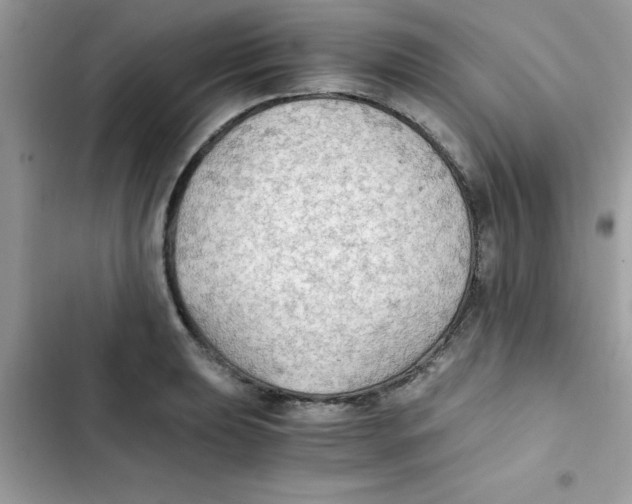 X0000103131039200809191936