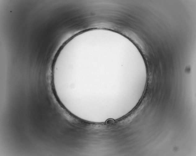 X0000103131040200809191936