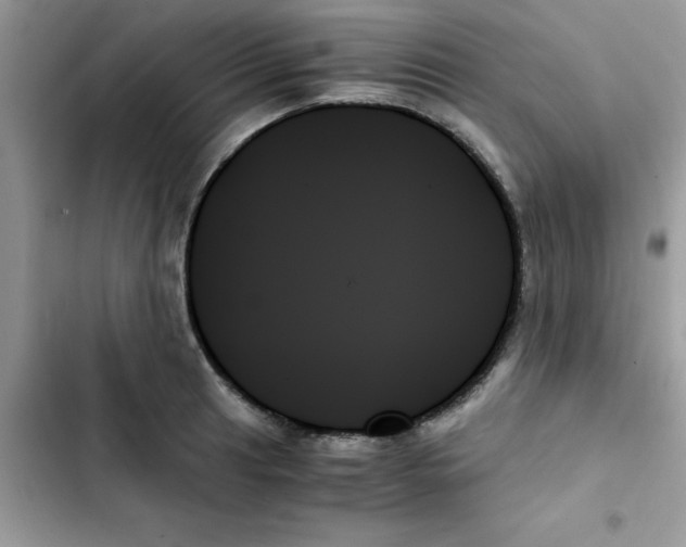 X0000103131041200809191936