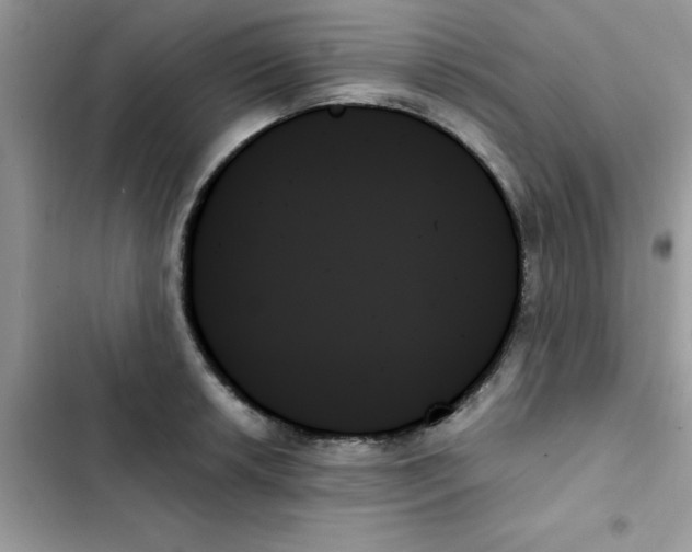X0000103131042200809191936