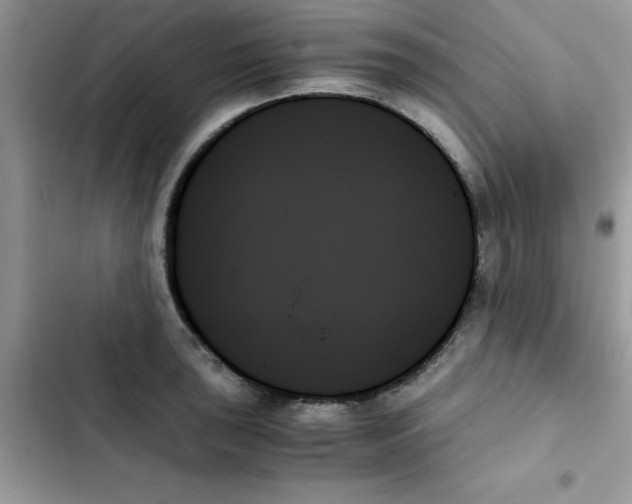 X0000103131043200809191936