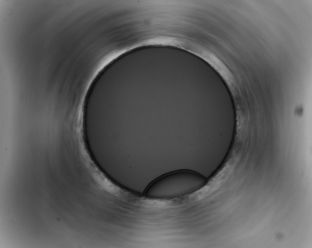 X0000103131044200809191936
