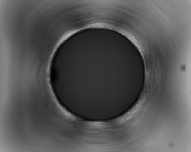 X0000103131045200809191936