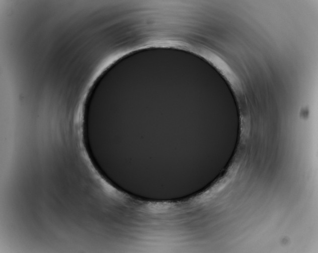 X0000103131046200809191937