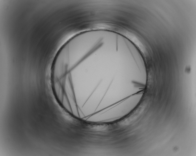 X0000103131047200809191937