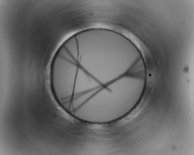 X0000103131048200809191937