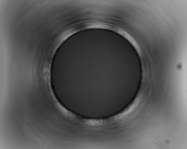 X0000103131049200809191937