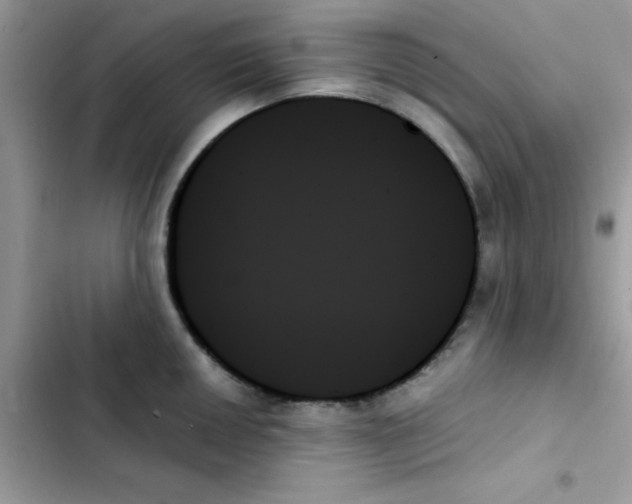 X0000103131050200809191937
