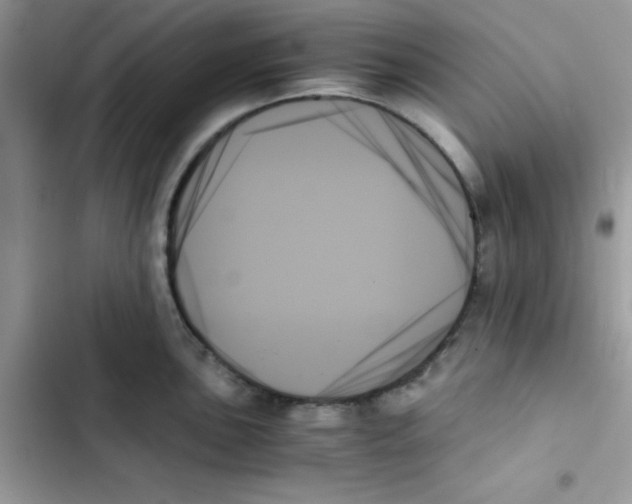 X0000103131051200809191937