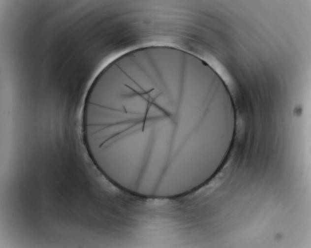 X0000103131052200809191937