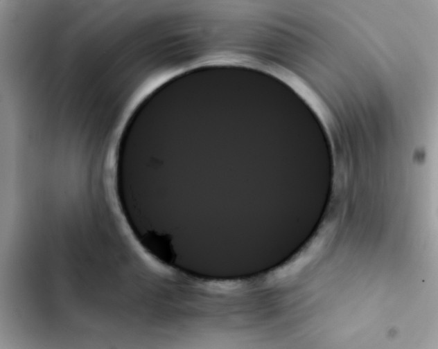 X0000103131053200809191937