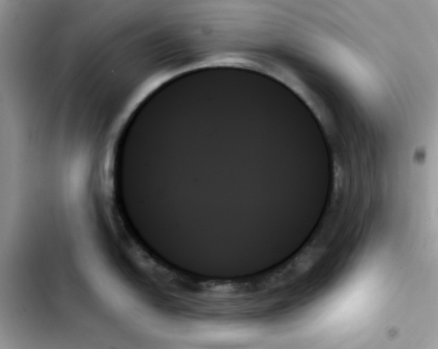 X0000103131054200809191937