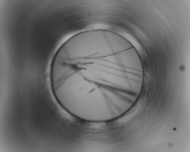 X0000103131055200809191937