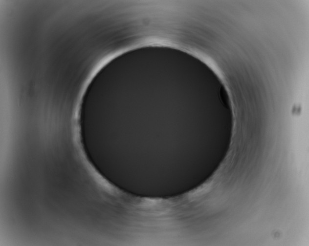 X0000103131056200809191937
