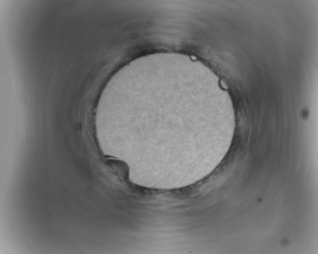 X0000103131057200809191936