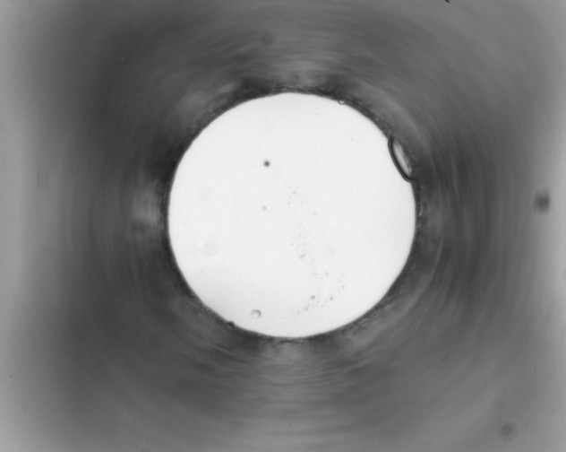 X0000103131058200809191936