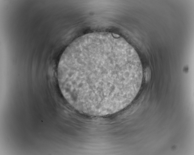 X0000103131059200809191936