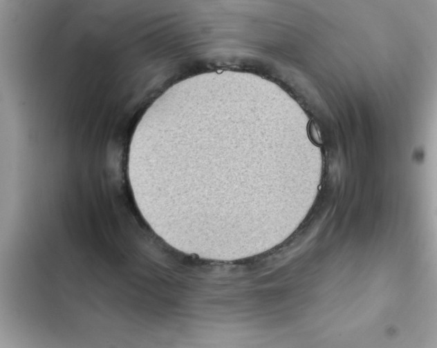 X0000103131060200809191936