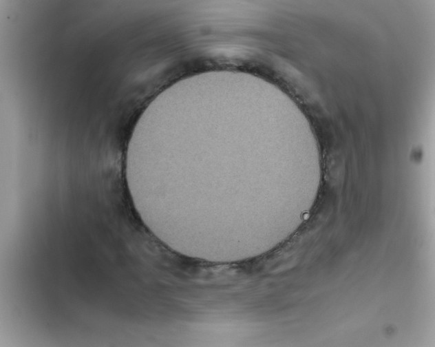 X0000103131061200809191936