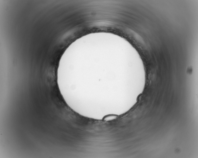 X0000103131062200809191936