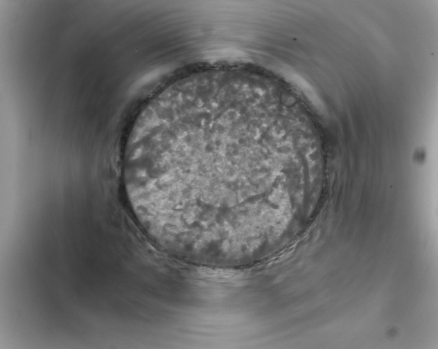 X0000103131063200809191936