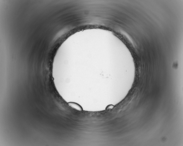 X0000103131064200809191936