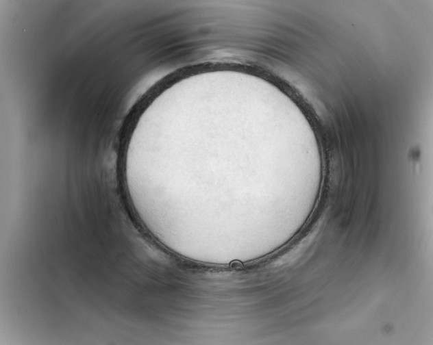 X0000103131066200809191936